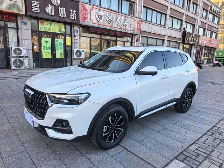 Фото 1 - Haval H6