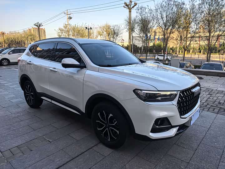 Фото 3 - Haval H6