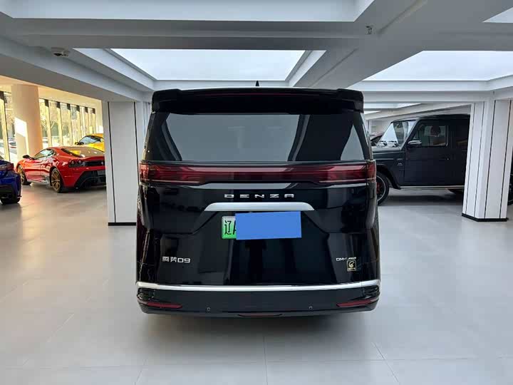 Фото 14 - Denza D9