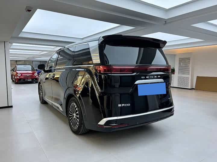 Фото 15 - Denza D9