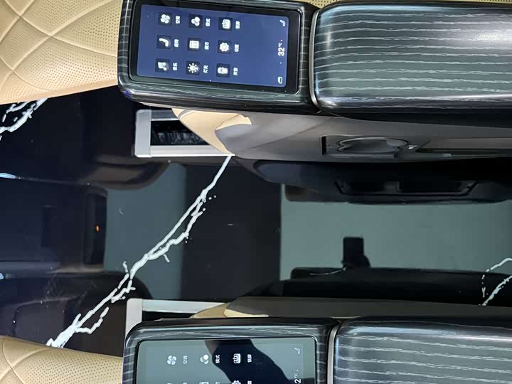 Фото 19 - Denza D9