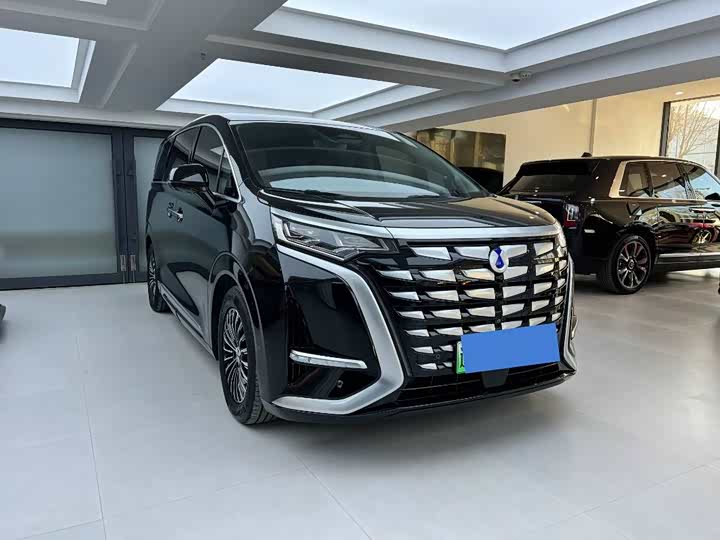 Фото 2 - Denza D9