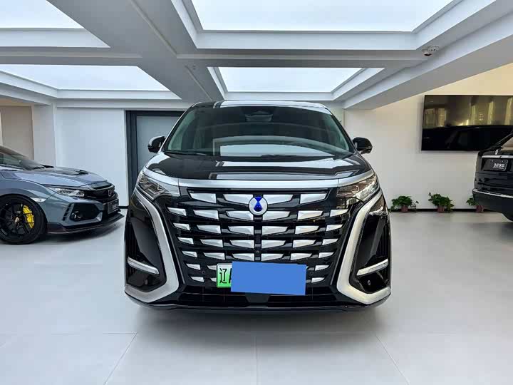 Фото 3 - Denza D9