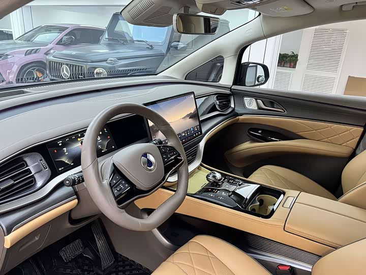 Фото 4 - Denza D9