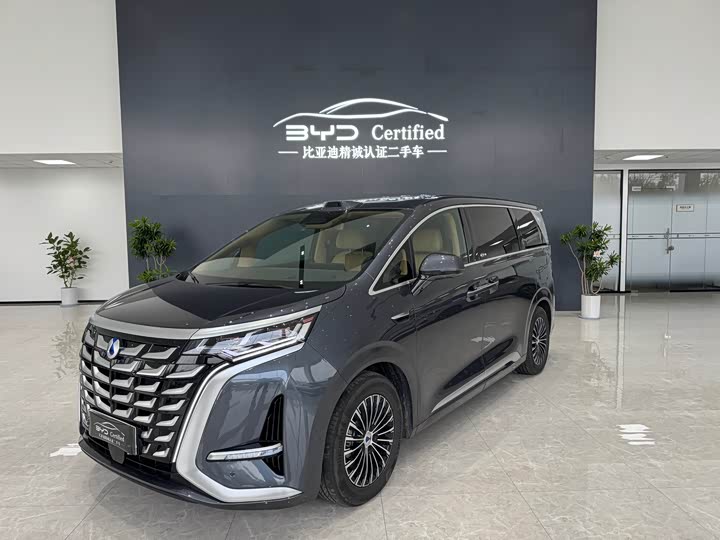 Фото 1 - Denza D9