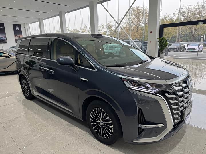 Фото 11 - Denza D9