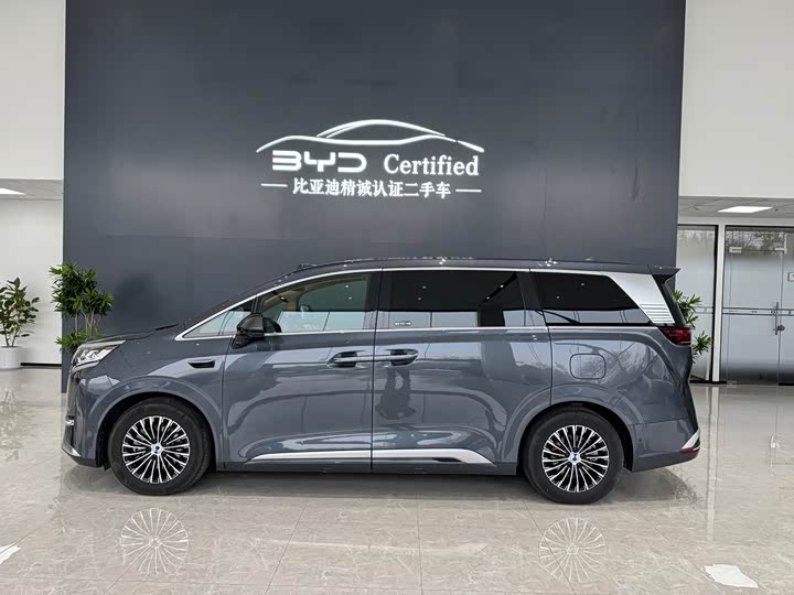 Фото 3 - Denza D9