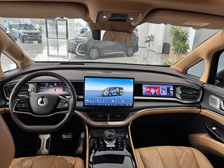 Фото 6 - Denza D9