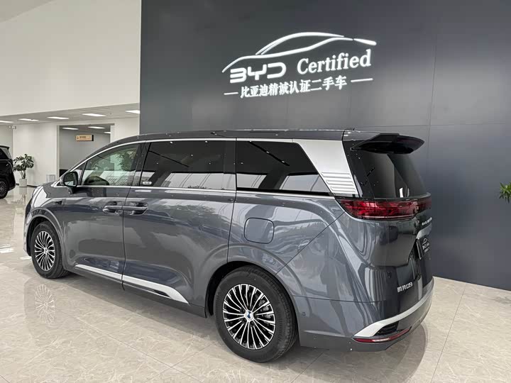 Фото 7 - Denza D9