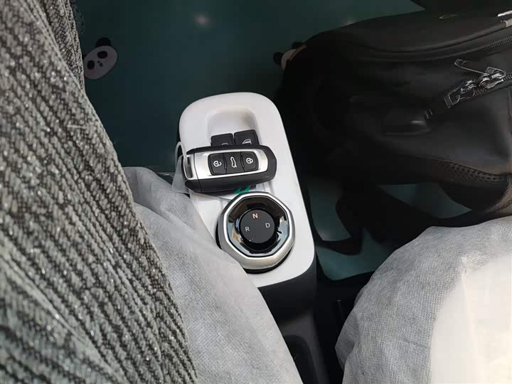 Фото 14 - Geely Galaxy Panda Mini