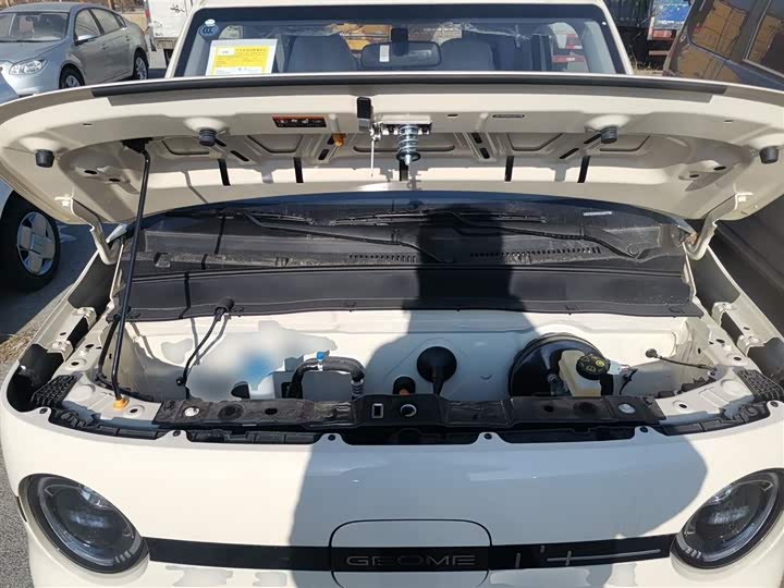 Фото 20 - Geely Galaxy Panda Mini