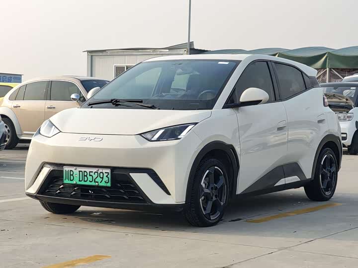 Фото 1 - BYD Seagull