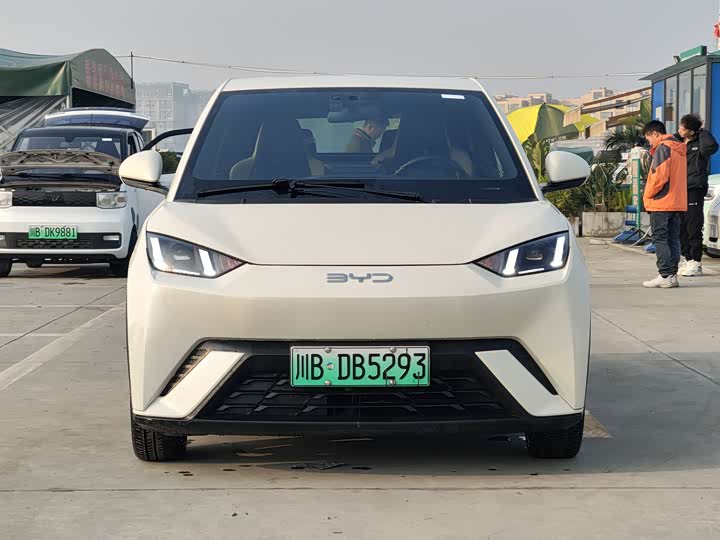 Фото 2 - BYD Seagull