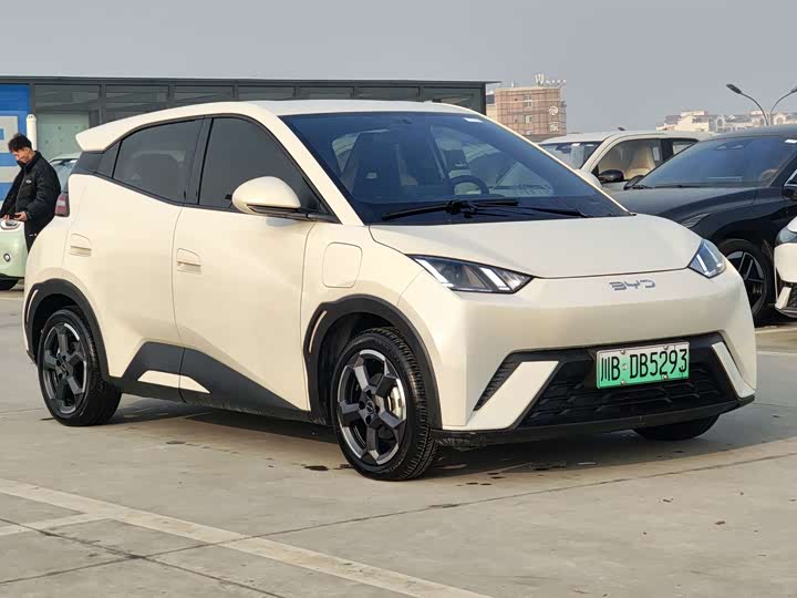 Фото 3 - BYD Seagull