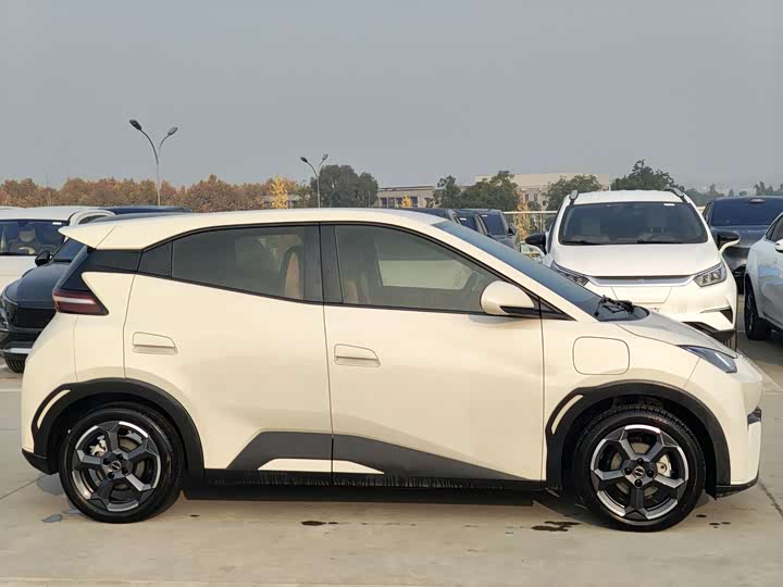 Фото 4 - BYD Seagull