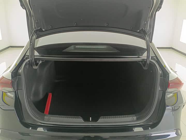 Фото 4 - GAC Trumpchi Empow R