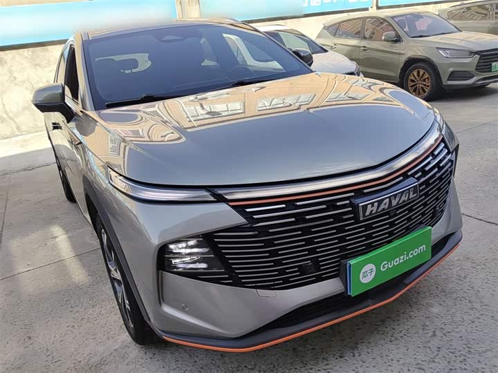 Фото 4 - Haval F7 (Monster)