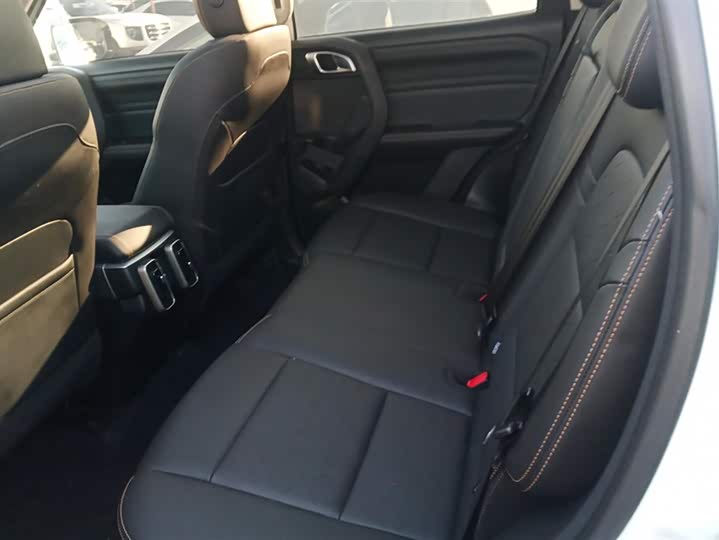 Фото 11 - Haval Dargo