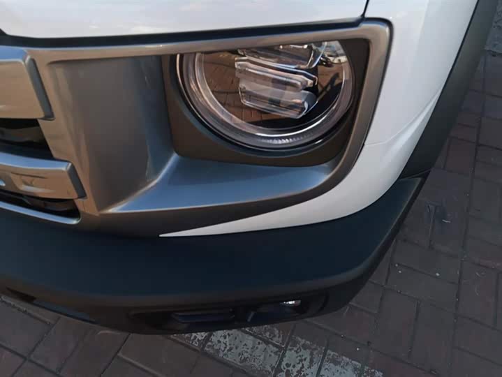 Фото 5 - Haval Dargo