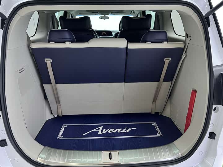 Фото 19 - Buick GL8 ES