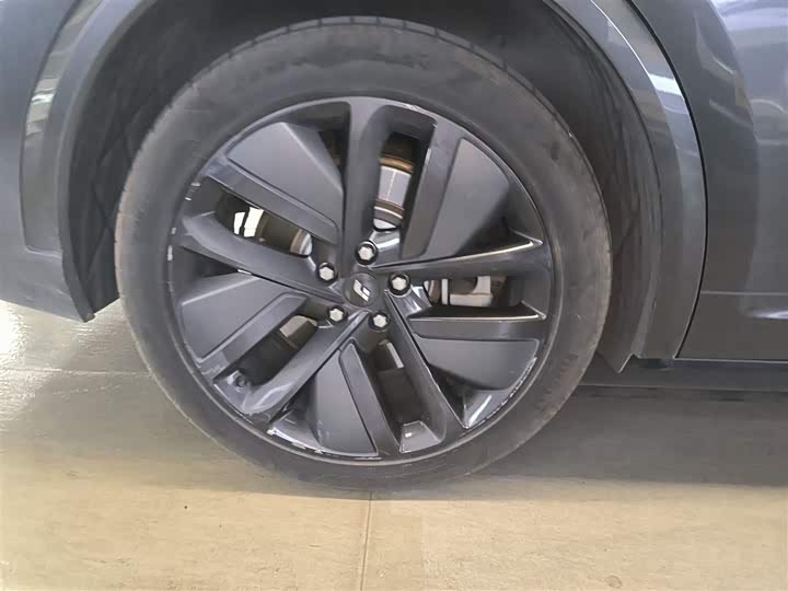 Фото 26 - LiXiang L9