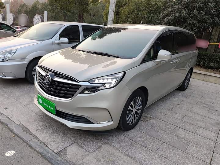 Фото 1 - Buick GL8 ES