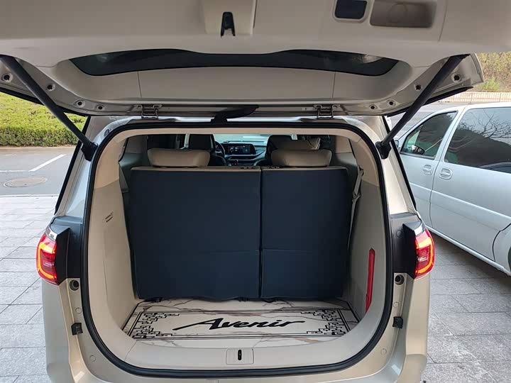 Фото 19 - Buick GL8 ES