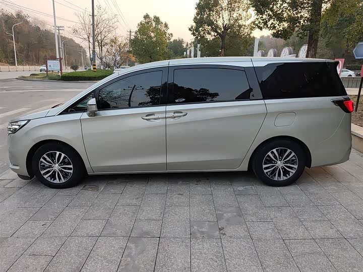 Фото 5 - Buick GL8 ES