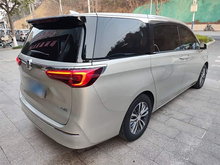 Фото 7 - Buick GL8 ES