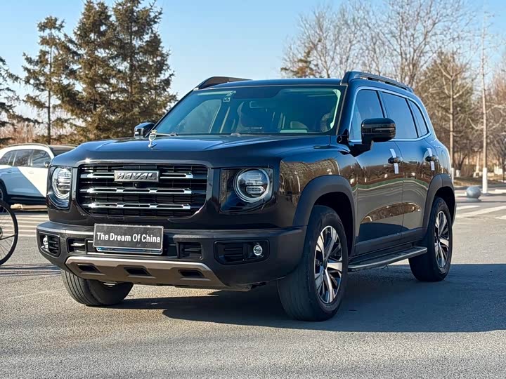 Фото 1 - Haval Dargo