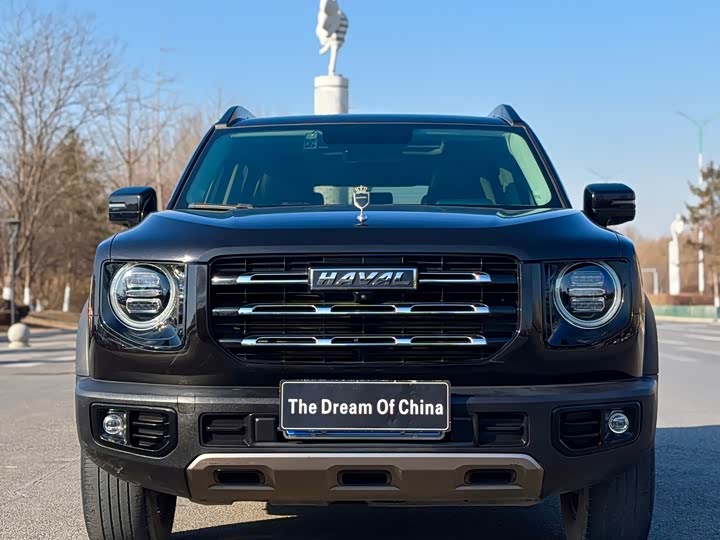 Фото 2 - Haval Dargo
