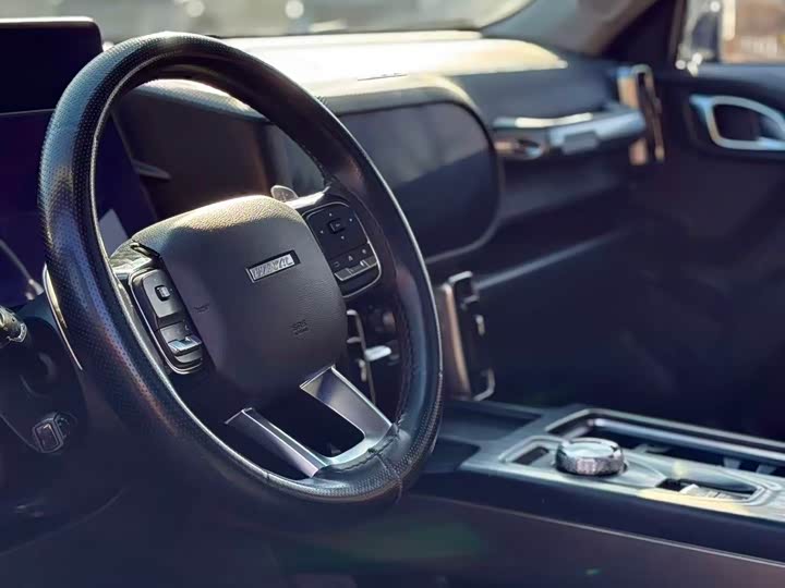 Фото 4 - Haval Dargo