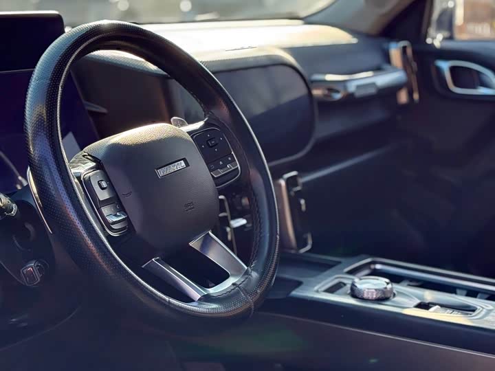 Фото 5 - Haval Dargo