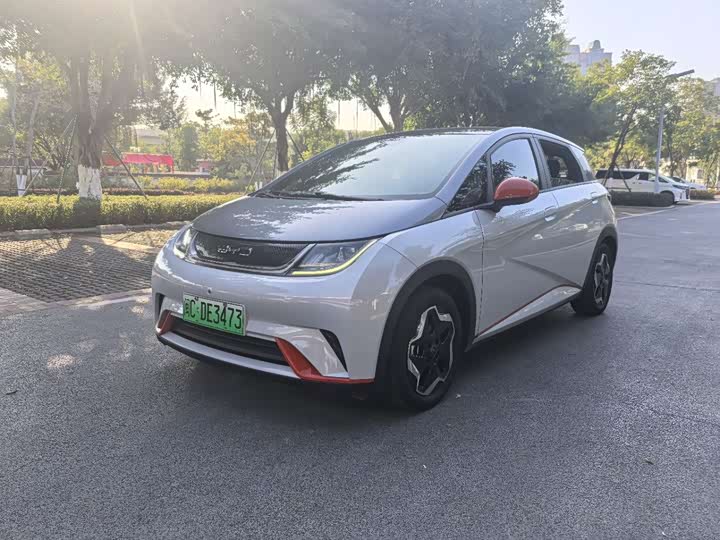 Фото 1 - BYD Dolphin