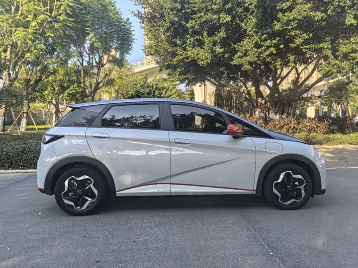 Фото 10 - BYD Dolphin