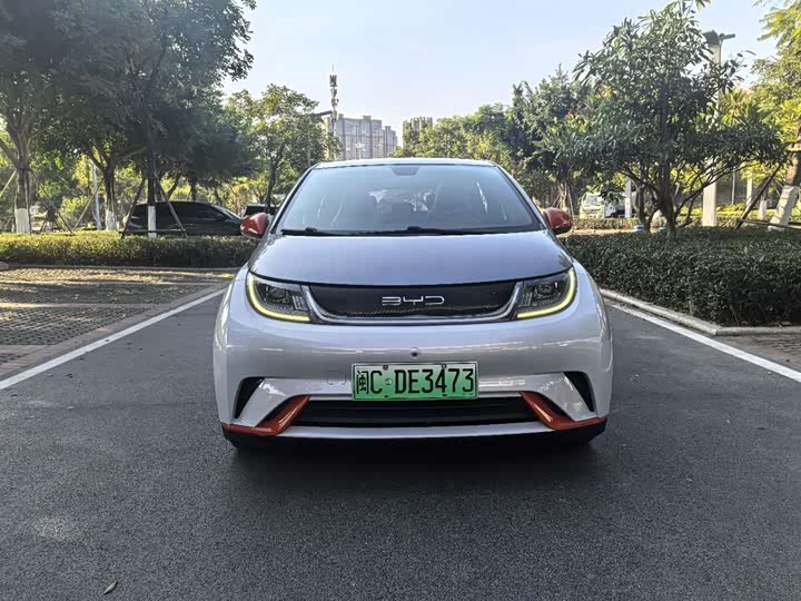 Фото 2 - BYD Dolphin