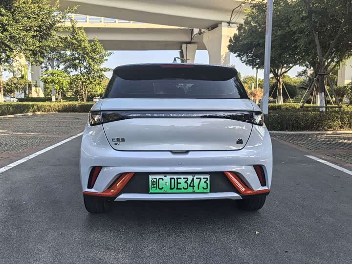 Фото 8 - BYD Dolphin