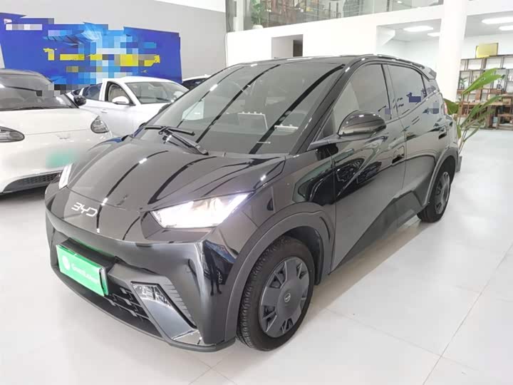 Фото 1 - BYD Seagull