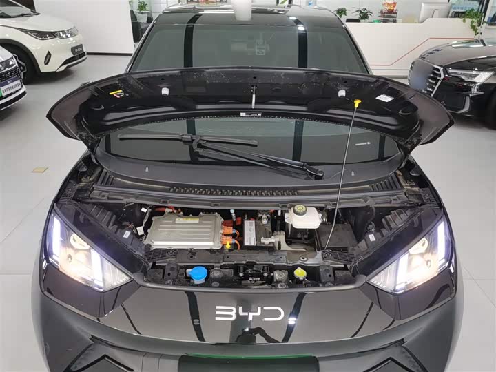 Фото 20 - BYD Seagull