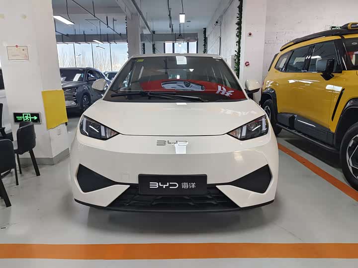 Фото 2 - BYD Seagull