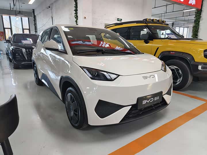 Фото 3 - BYD Seagull