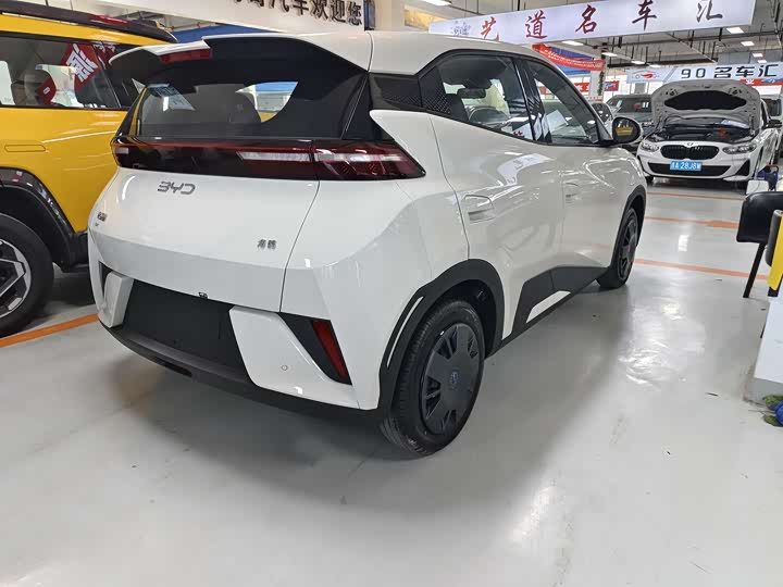 Фото 4 - BYD Seagull