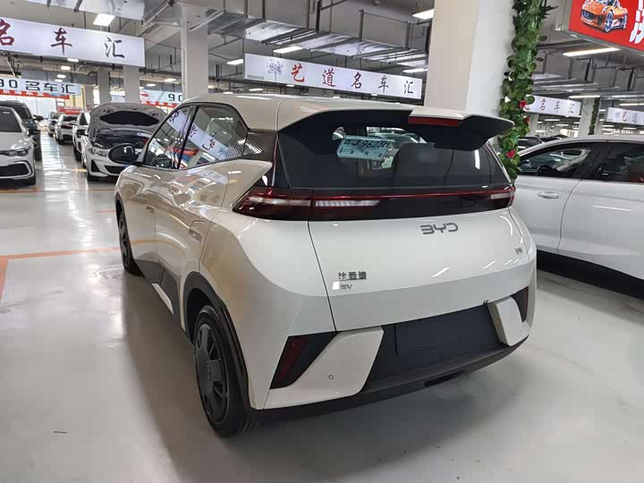 Фото 6 - BYD Seagull