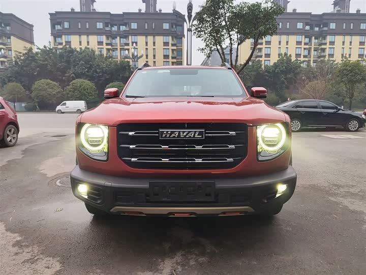 Фото 3 - Haval Dargo