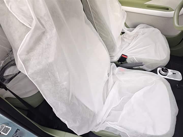 Фото 25 - Geely Galaxy Panda Mini