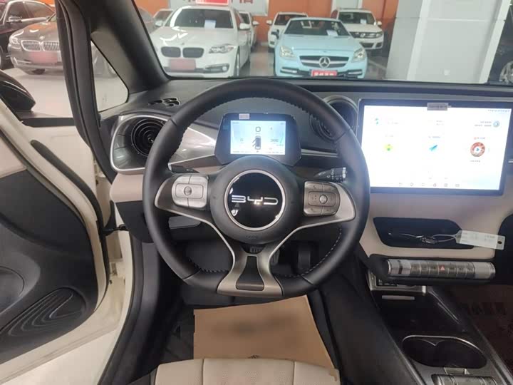 Фото 11 - BYD Dolphin