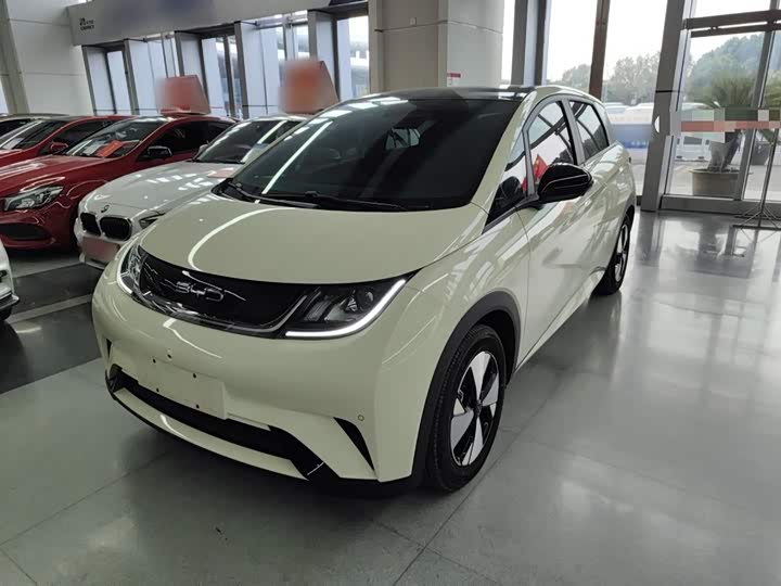 Фото 2 - BYD Dolphin