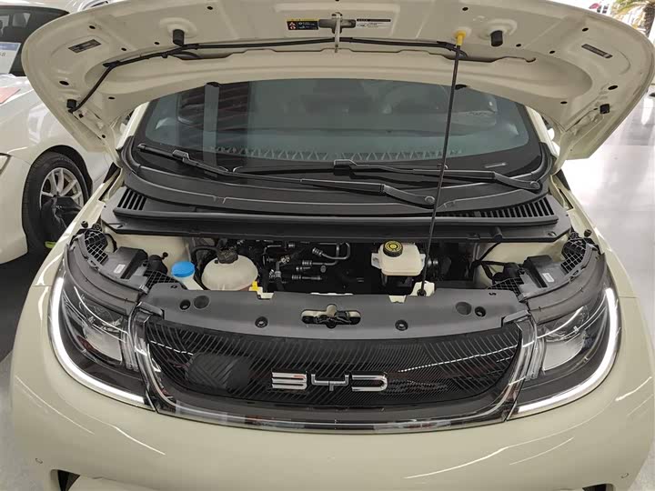 Фото 20 - BYD Dolphin