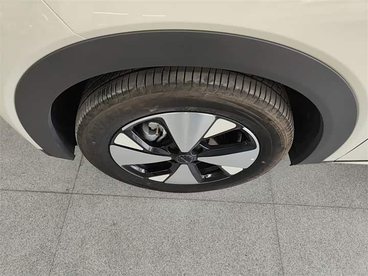 Фото 23 - BYD Dolphin