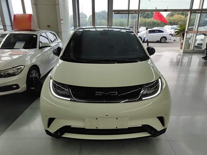 Фото 3 - BYD Dolphin